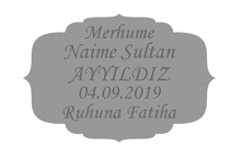Pleksi İsimlik